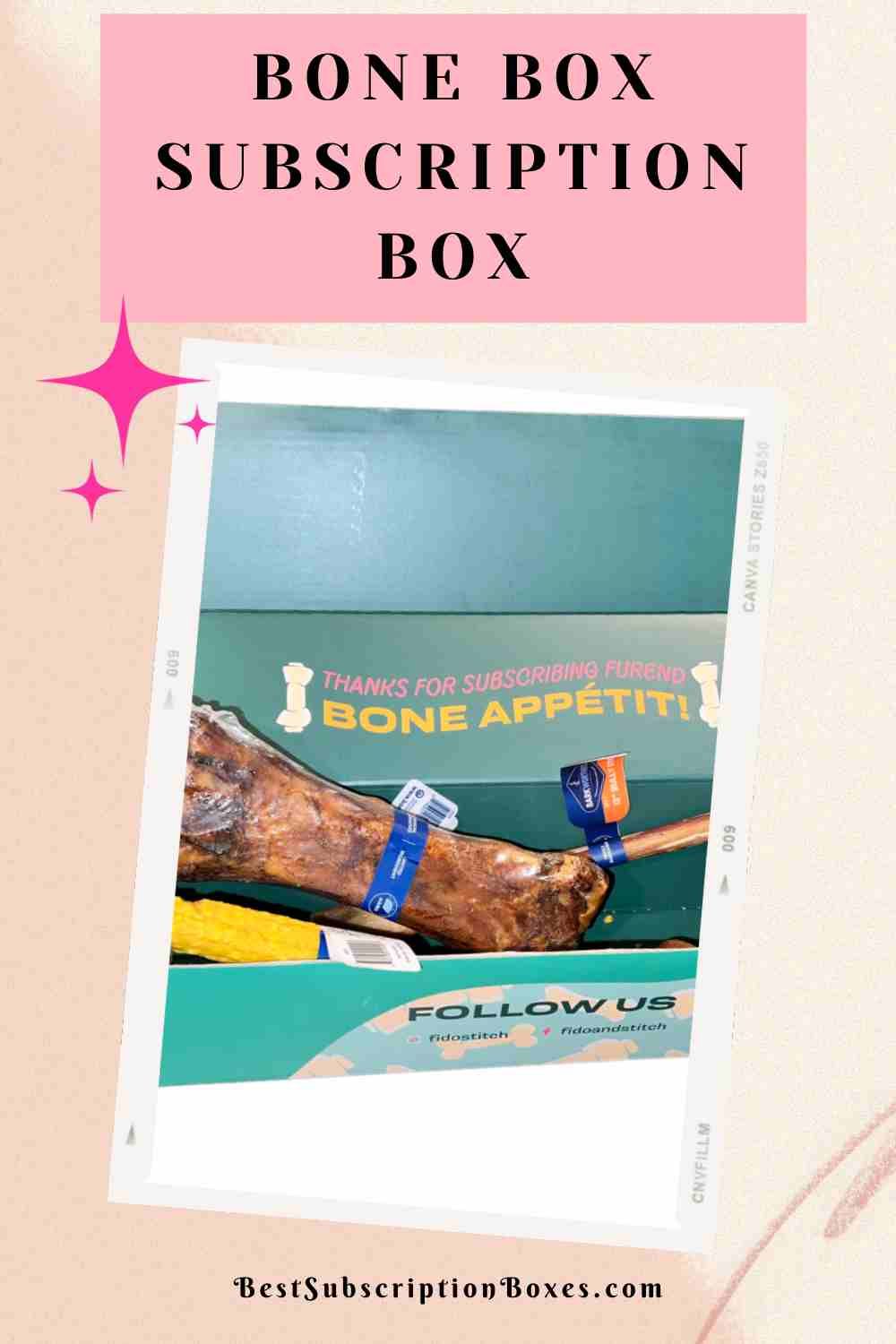 Bone Box Subscription Box Best Subscription Boxes